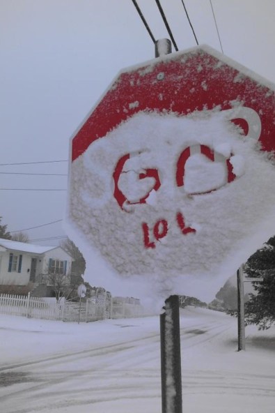 EMGN-Laugh-Funny-Signs-Lol-Hilarious-9