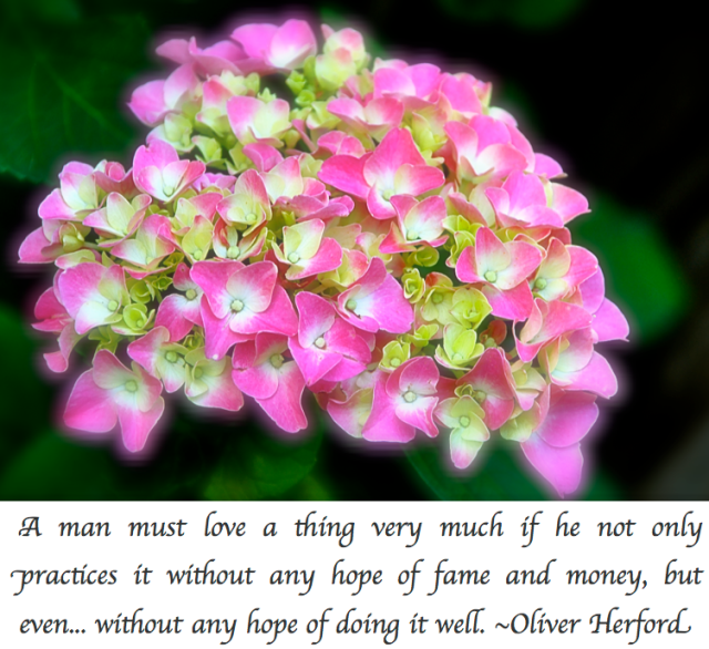 Screen Shot 2018-02-18 at 9.46.56 PM.png