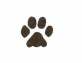 PawPrint6